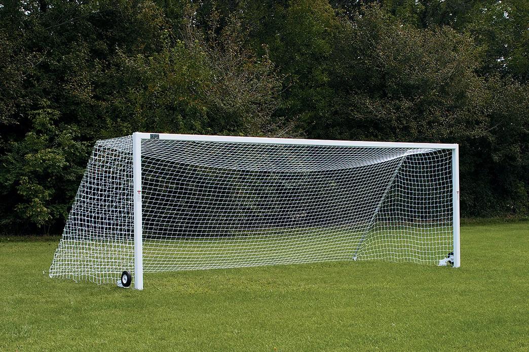 A soccer goal with a white net is positioned on a grassy field. The background features dense green trees under a clear sky.